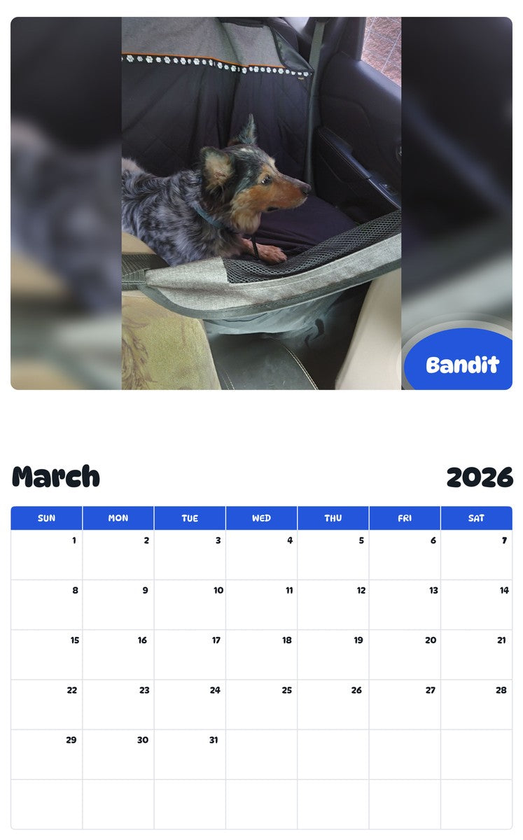 November 2025 - October 2026 Bandit - Pawidols Pet Calendar