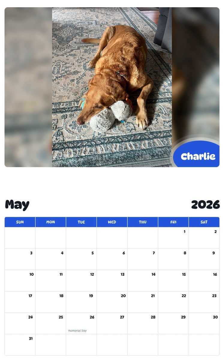 2026 - 2027 Charlie - Pawidols Pet Calendar