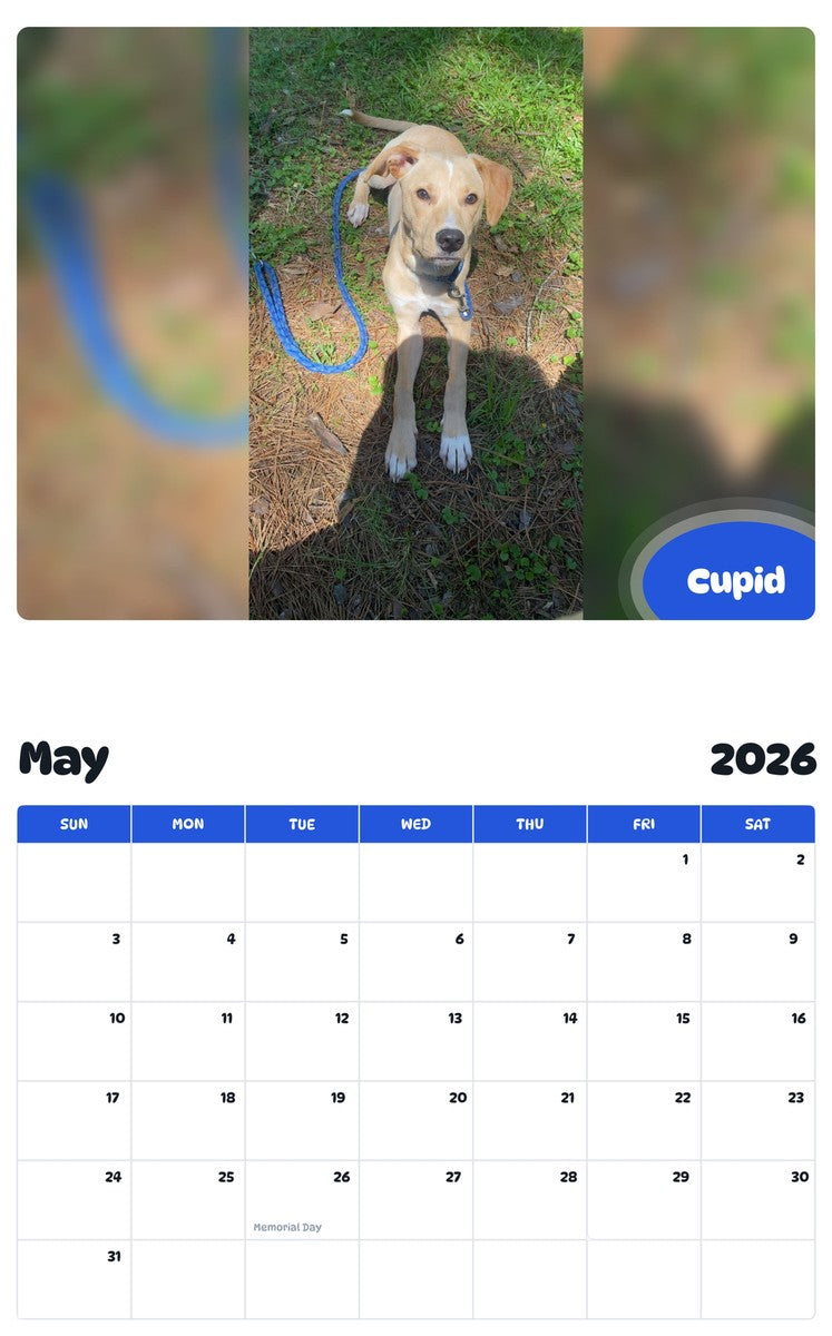 2026 - 2027 Cupid - Pawidols Pet Calendar