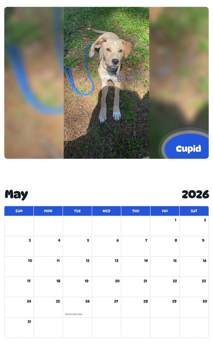 2026 - 2027 Cupid - Pawidols Pet Calendar