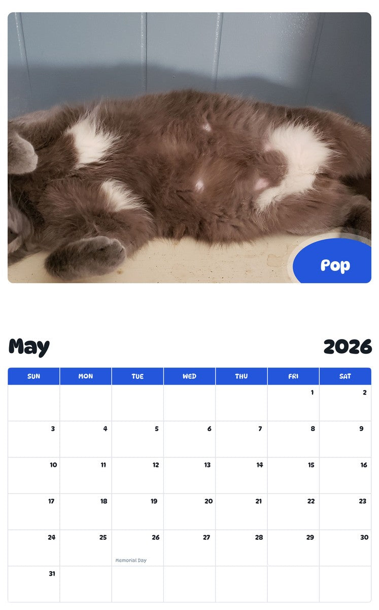 2026 - 2027 Pop - Pawidols Pet Calendar