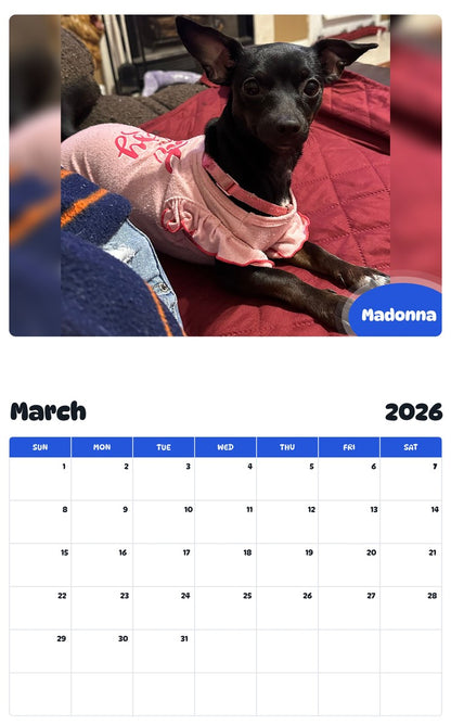 November 2025 - October 2026 Madonna - Pawidols Pet Calendar