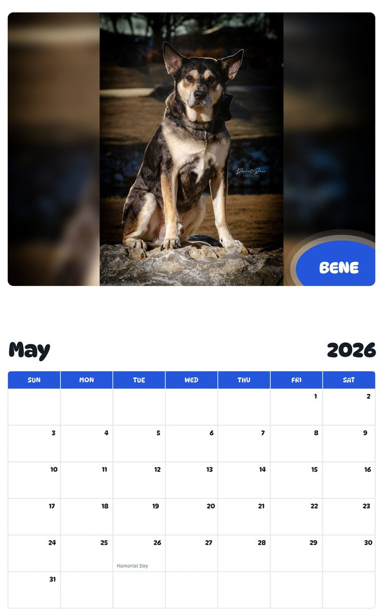 2026 - 2027 BENE - Pawidols Pet Calendar