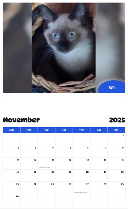 July 2025 - June 2026 Kai - Pawidols Pet Calendar