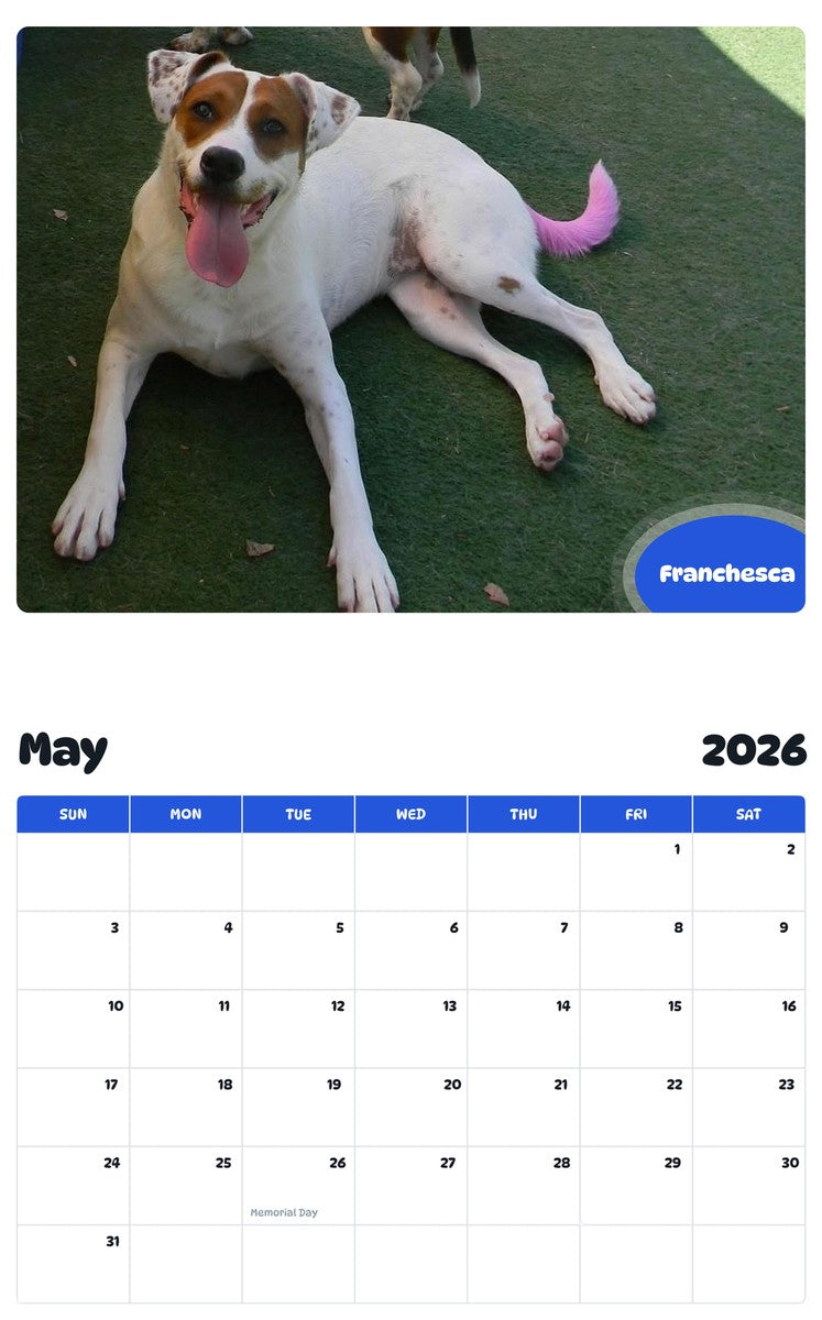 2026 - 2027 Franchesca - Pawidols Pet Calendar