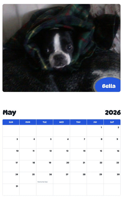 2026 - 2027 Bella - Pawidols Pet Calendar