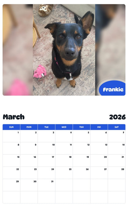 November 2025 - October 2026 Frankie - Pawidols Pet Calendar
