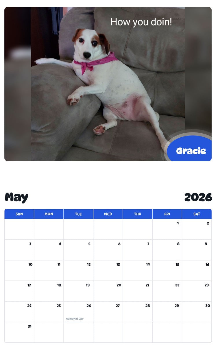 2026 - 2027 Gracie - Pawidols Pet Calendar
