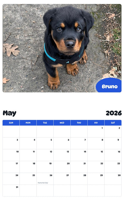 2026 - 2027 Bruno - Pawidols Pet Calendar