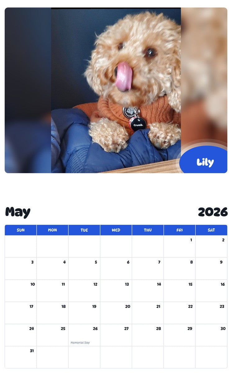 2026 - 2027 Lily - Pawidols Pet Calendar