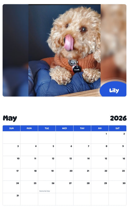 2026 - 2027 Lily - Pawidols Pet Calendar