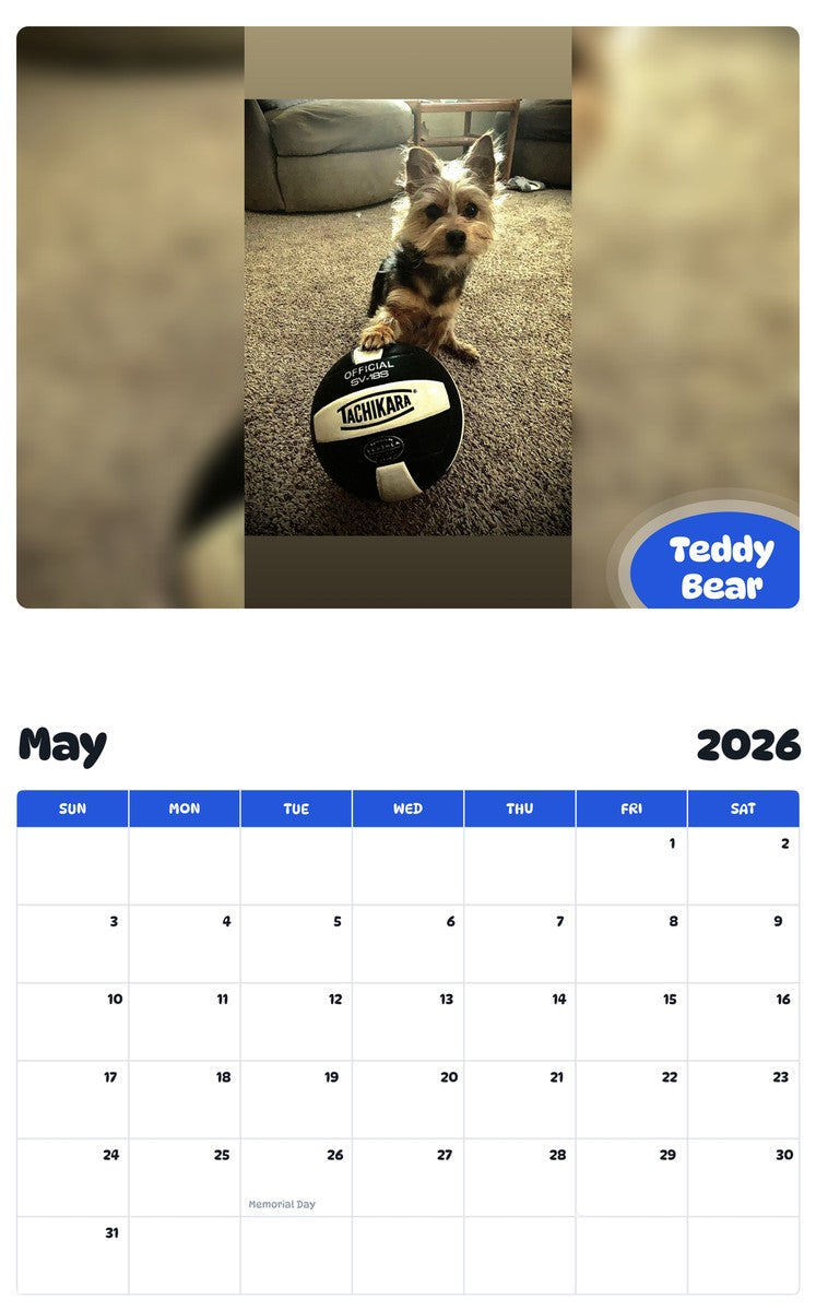 2026 - 2027 Teddy Bear - Pawidols Pet Calendar