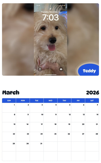 November 2025 - October 2026 Teddy - Pawidols Pet Calendar