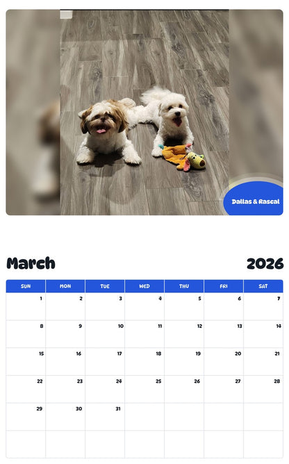 November 2025 - October 2026 Dallas & Rascal - Pawidols Pet Calendar