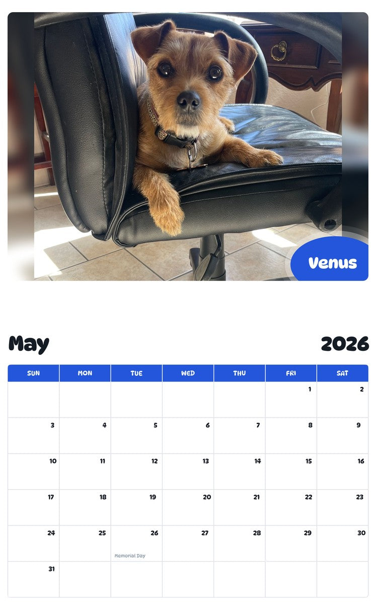 2026 - 2027 Venus - Pawidols Pet Calendar