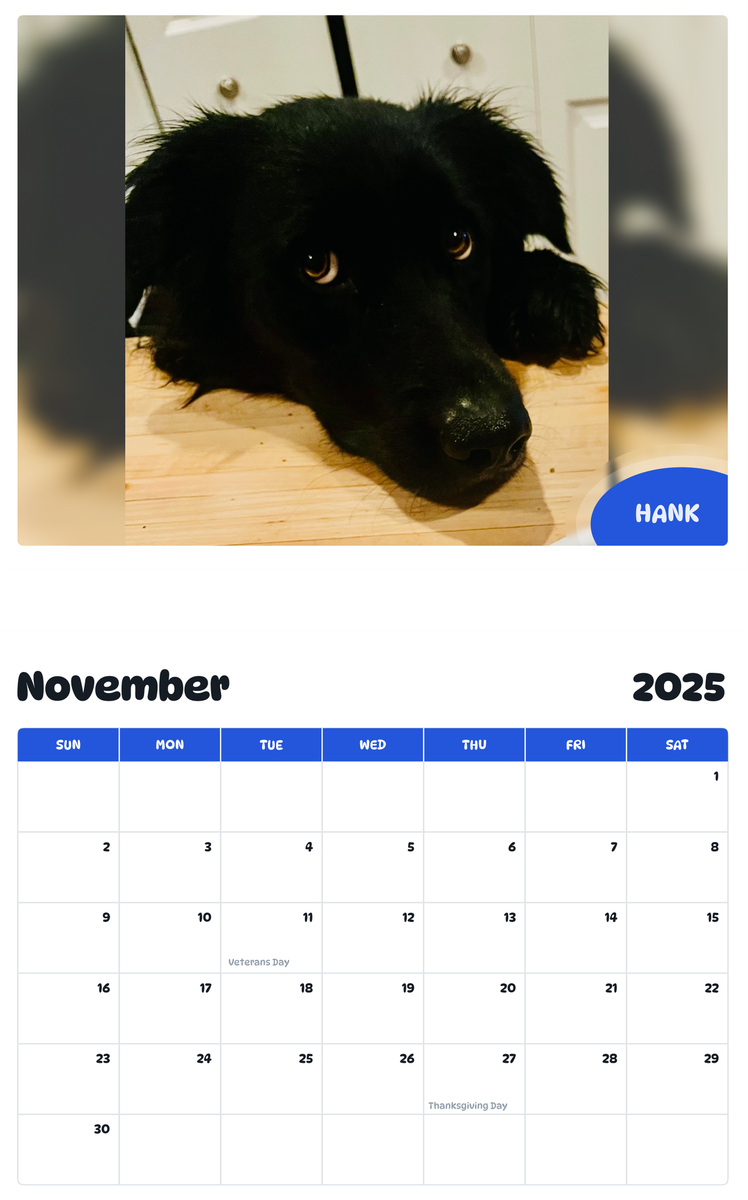 July 2025 - June 2026 Hank - Pawidols Pet Calendar