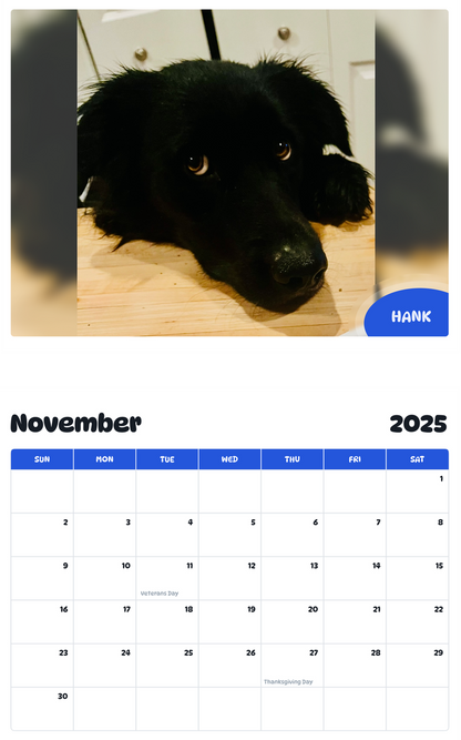 July 2025 - June 2026 Hank - Pawidols Pet Calendar