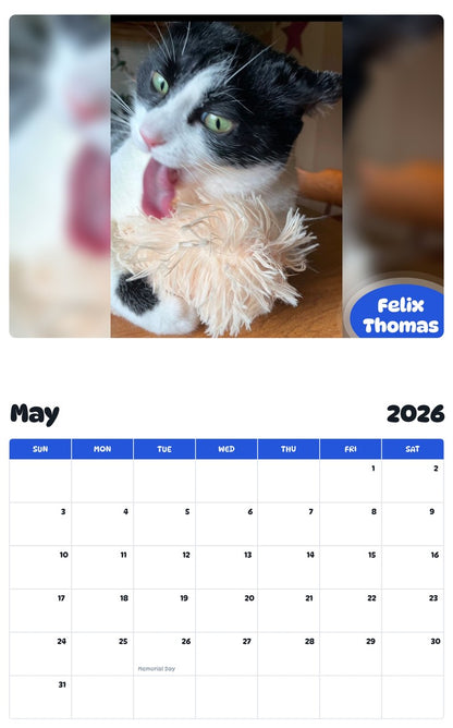 2026 - 2027 Felix Thomas - Pawidols Pet Calendar