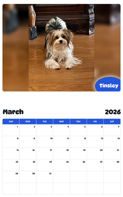 November 2025 - October 2026 Tinsley - Pawidols Pet Calendar