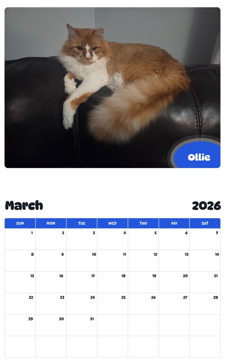 November 2025 - October 2026 Ollie - Pawidols Pet Calendar
