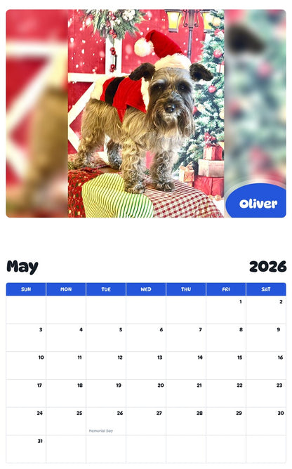 2026 - 2027 Oliver - Pawidols Pet Calendar