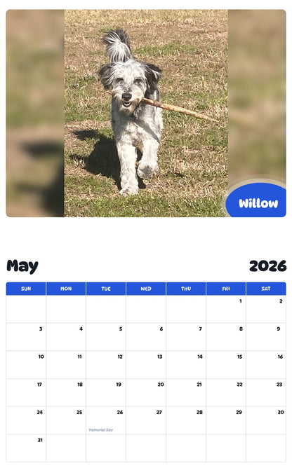 2026 - 2027 Willow - Pawidols Pet Calendar