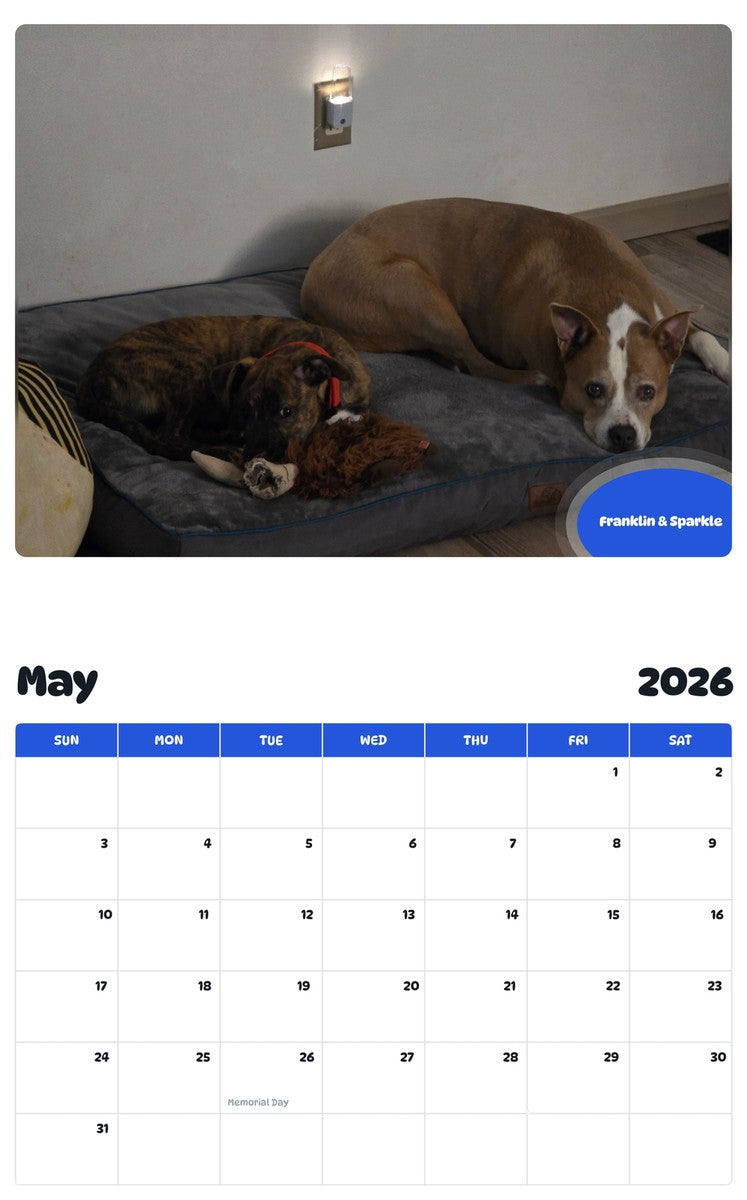 2026 - 2027 Franklin & Sparkle - Pawidols Pet Calendar