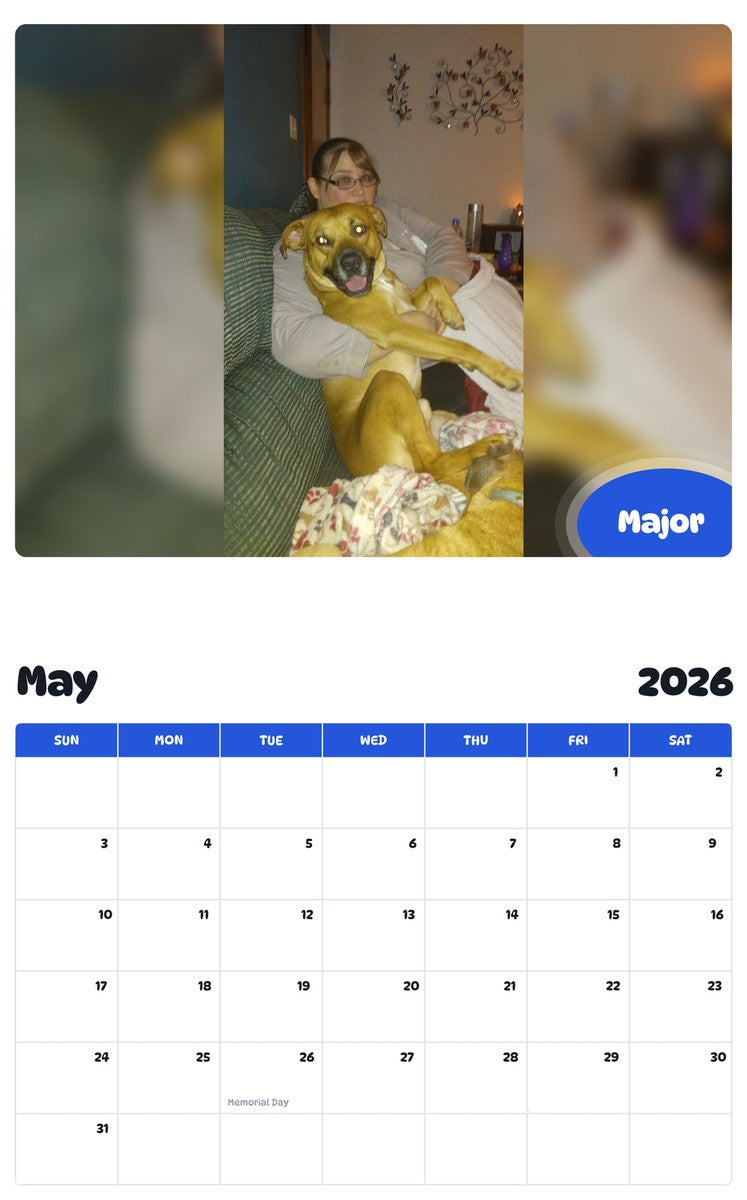 2026 - 2027 Major - Pawidols Pet Calendar