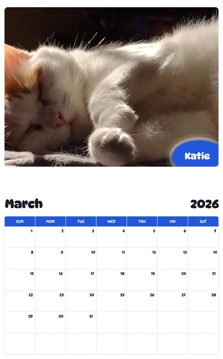November 2025 - October 2026 Katie - Pawidols Pet Calendar