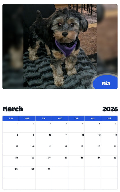 November 2025 - October 2026 Mia - Pawidols Pet Calendar