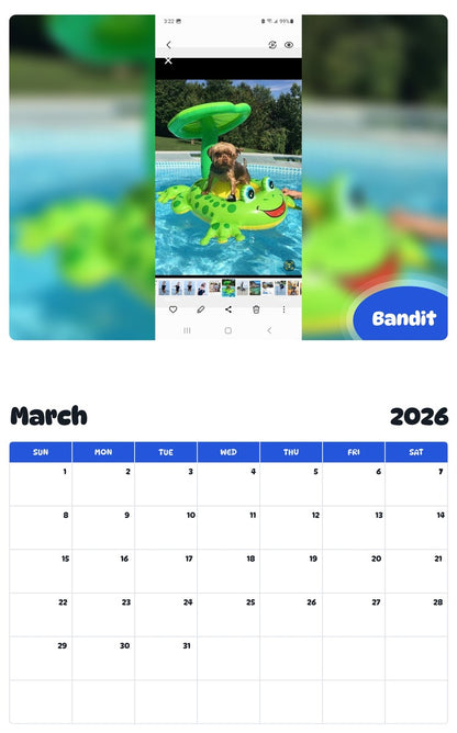 November 2025 - October 2026 Bandit - Pawidols Pet Calendar