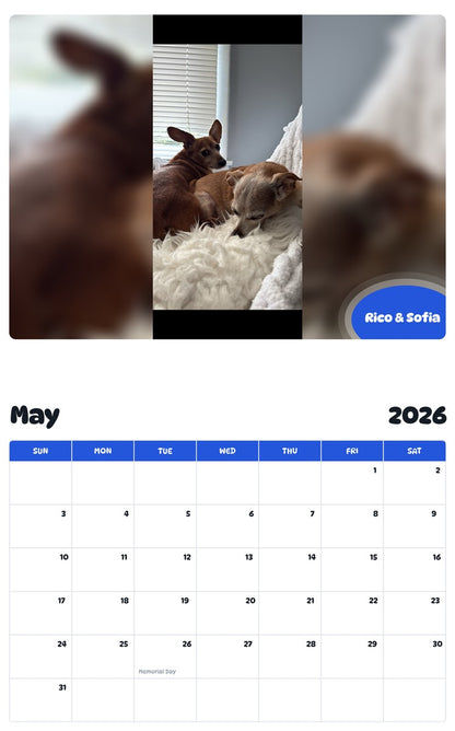 2026 - 2027 Rico & Sofia - Pawidols Pet Calendar