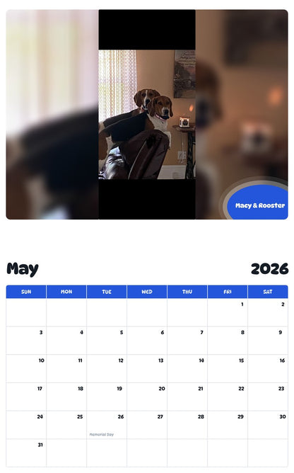 2026 - 2027 Macy & Rooster - Pawidols Pet Calendar