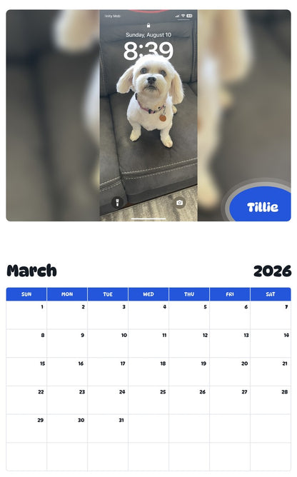 November 2025 - October 2026 Tillie - Pawidols Pet Calendar