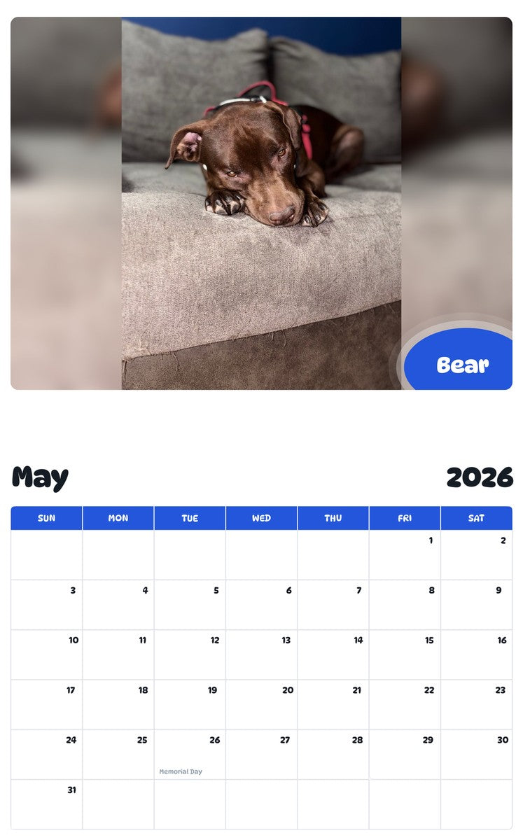 2026 - 2027 Bear - Pawidols Pet Calendar
