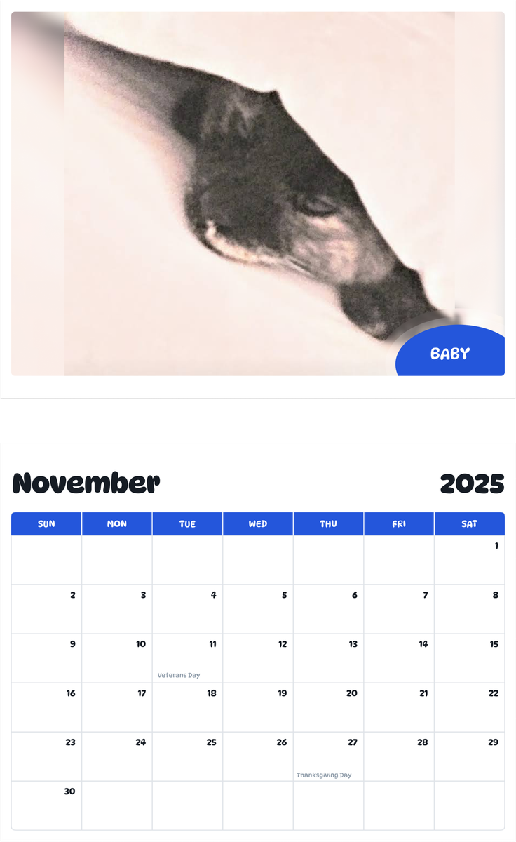 July 2025 - June 2026 Baby - Pawidols Pet Calendar