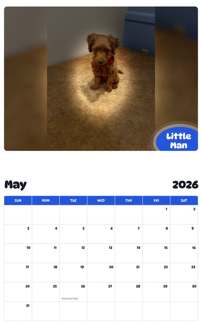2026 - 2027 Little Man - Pawidols Pet Calendar
