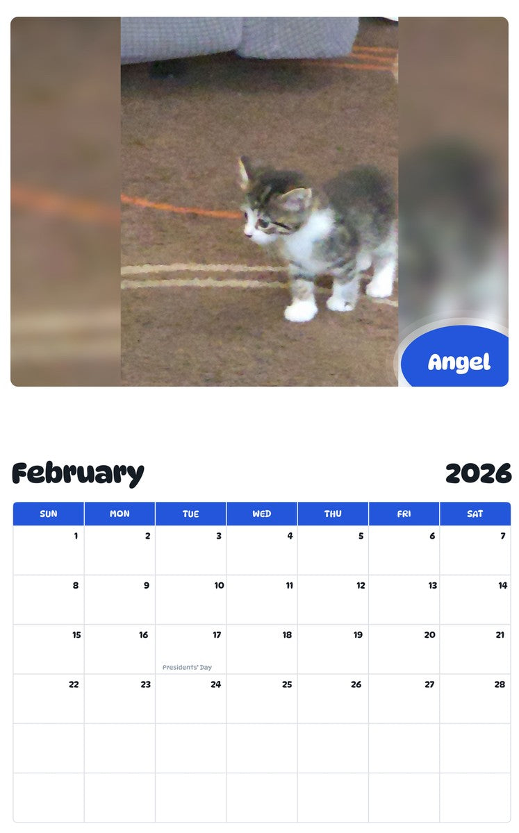 November 2025 - October 2026 Angel - Pawidols Pet Calendar