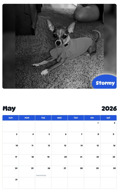 2026 - 2027 Stormy - Pawidols Pet Calendar