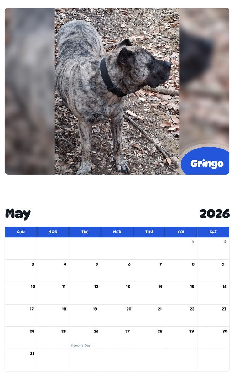 2026 - 2027 Gringo - Pawidols Pet Calendar
