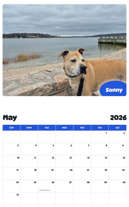 2026 - 2027 Sonny - Pawidols Pet Calendar