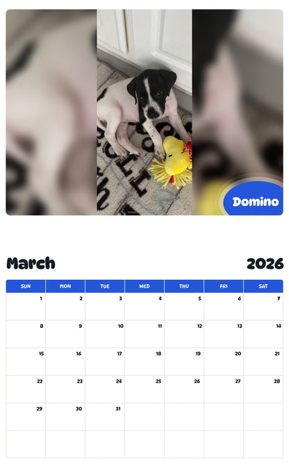 November 2025 - October 2026 Domino - Pawidols Pet Calendar