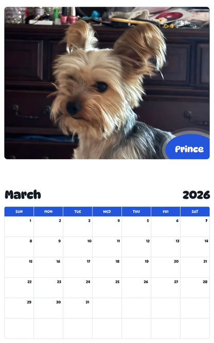 November 2025 - October 2026 Prince - Pawidols Pet Calendar