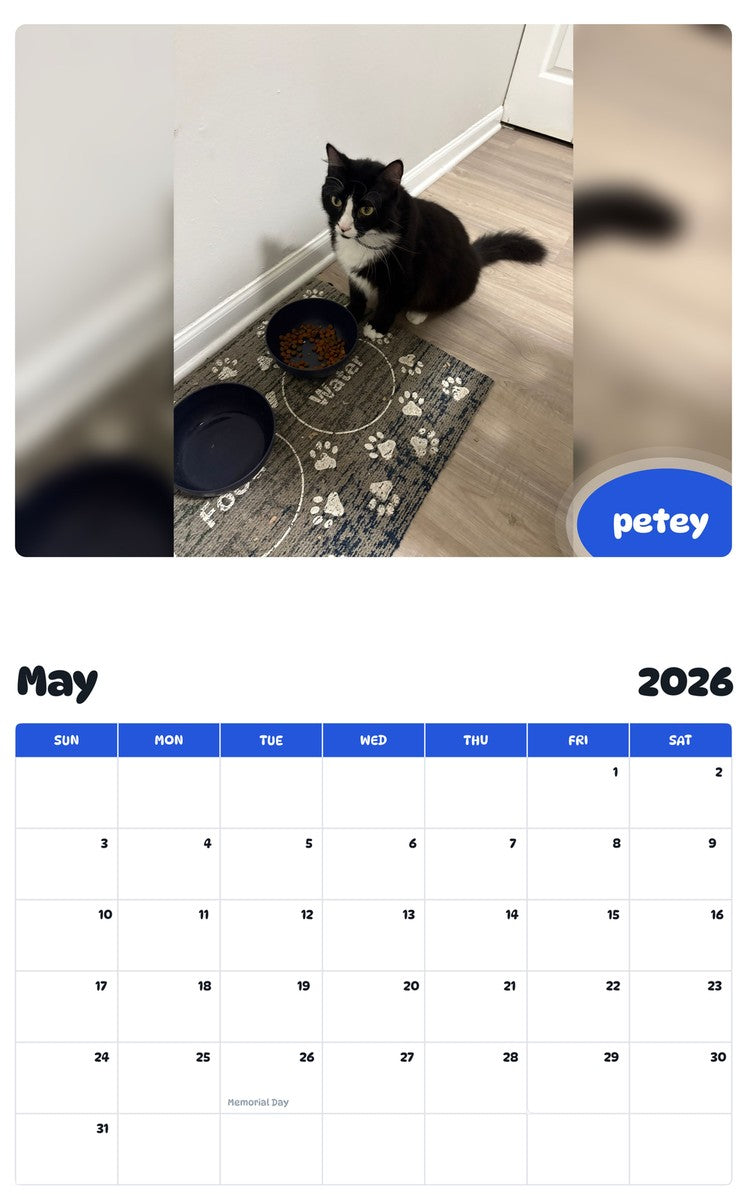2026 - 2027 petey - Pawidols Pet Calendar