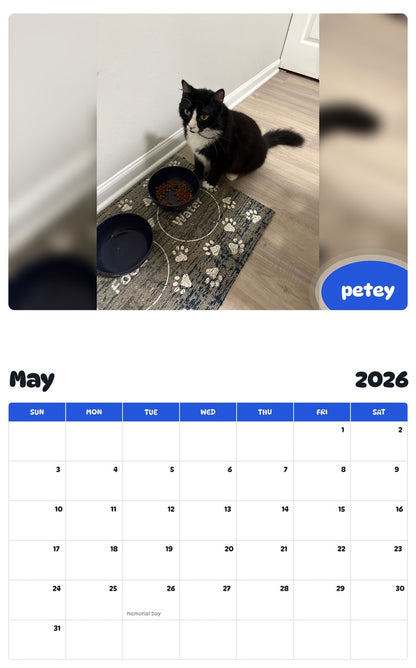 2026 - 2027 petey - Pawidols Pet Calendar