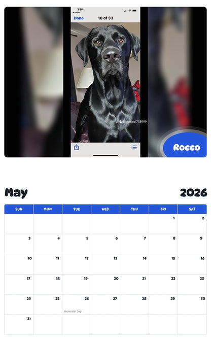 2026 - 2027 Rocco - Pawidols Pet Calendar