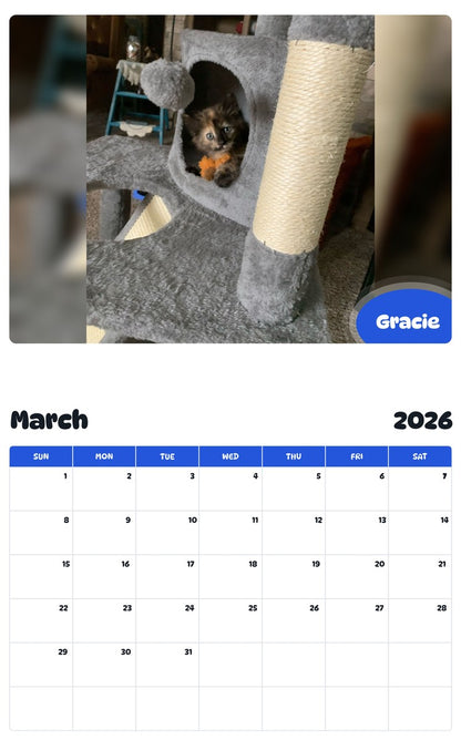 November 2025 - October 2026 Gracie - Pawidols Pet Calendar