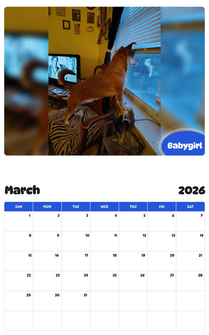 November 2025 - October 2026 Babygirl - Pawidols Pet Calendar