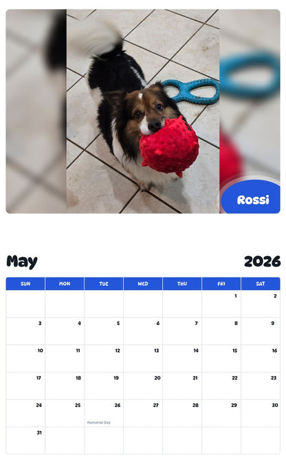 2026 - 2027 Rossi - Pawidols Pet Calendar