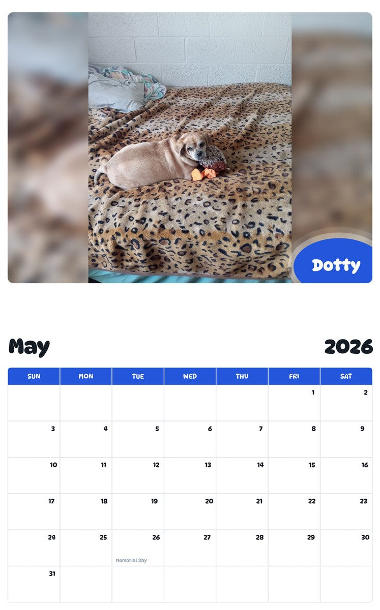 2026 - 2027 Dotty - Pawidols Pet Calendar